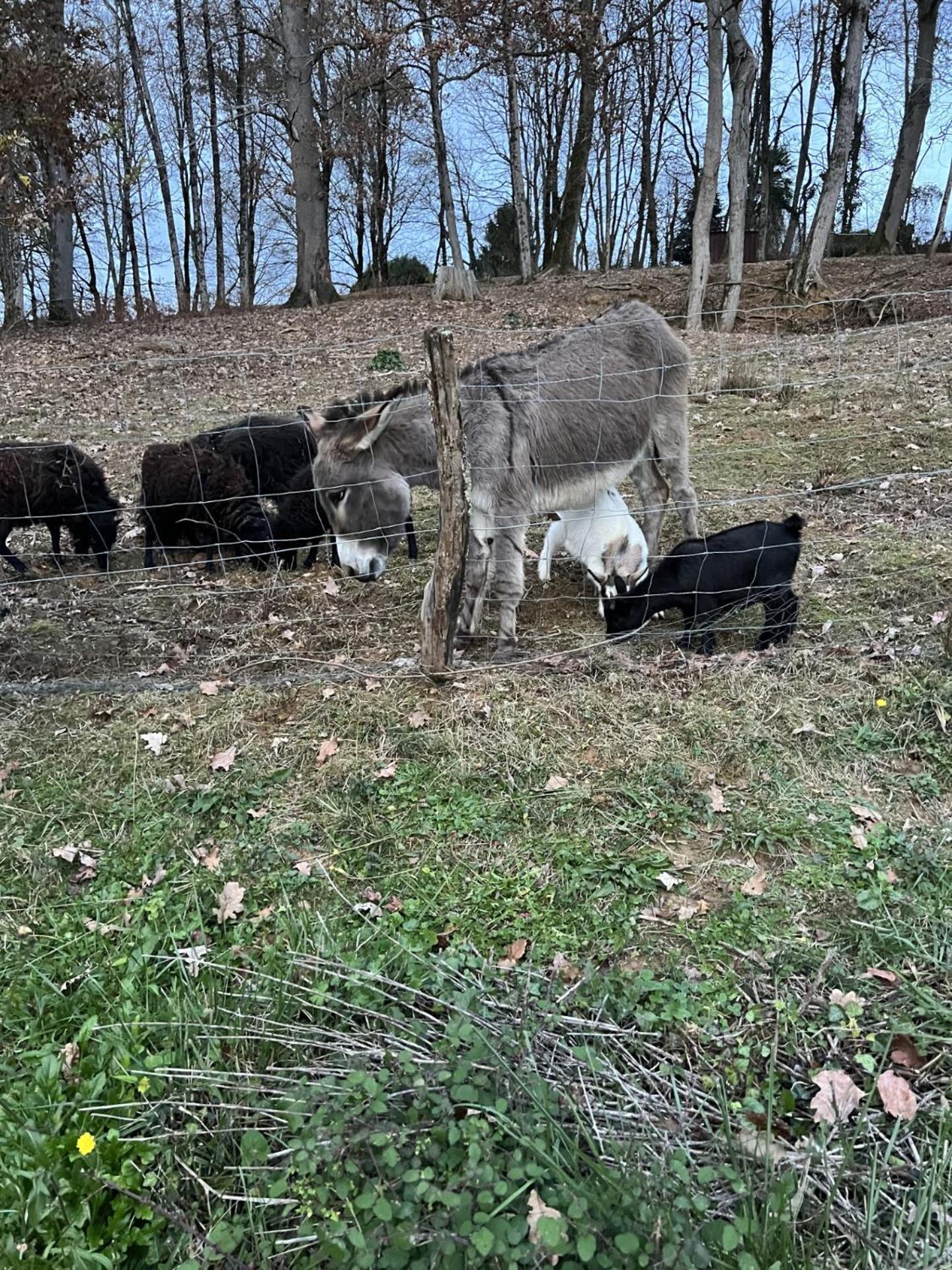 Gite 4/6 Personnes La Melodie Du Bonheur Villa Habas Esterno foto